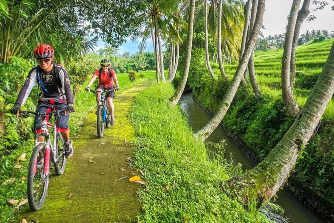 Bali Downhill Cycling and White Water Rafting - Breakfast above Lake Batur
