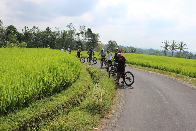 Bali Downhill Cycling and White Water Rafting - Is $100 a fair price?
