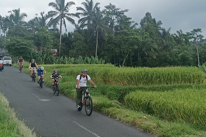 Bali Downhill Natural Cycling Tour & visit Volcano - Two hours through Manukaya and the countryside