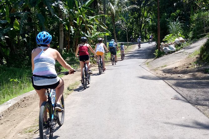 Bali Downhill Natural Cycling Tour & visit Volcano - Temple visits and the traditional Balinese home