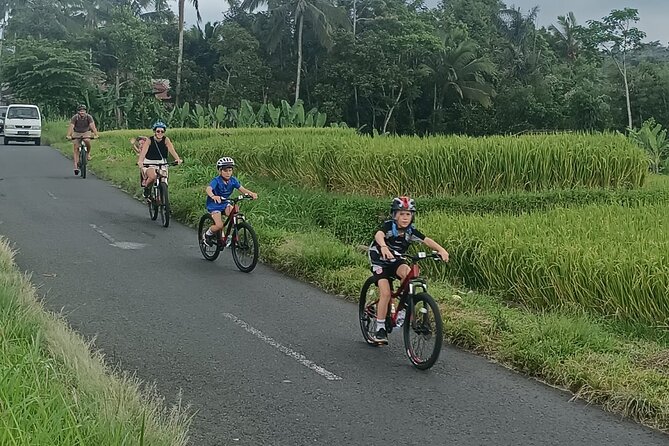 Bali Downhill Natural Cycling Tour & visit Volcano - Is $50 good value?
