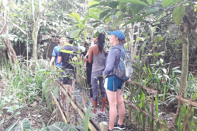 Bali Eco & Educational Cycling Tour - Is the $48.87 price good value?