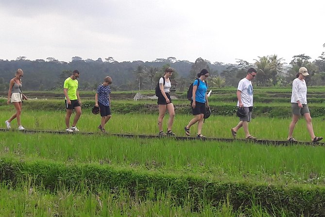 Bali Eco & Educational Cycling Tour - What the strongest praise tells you