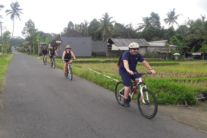 Bali Eco & Educational Cycling Tour - Who should book this Bali cycling tour?