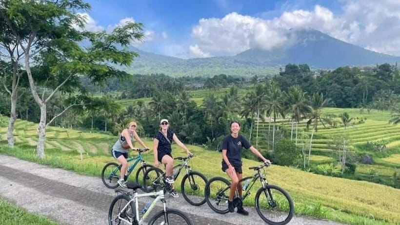 Bali: Jatiluwih Cycling Tour with Lunch and Hotel Transfer - Riding Through Rice Terraces and Village Life