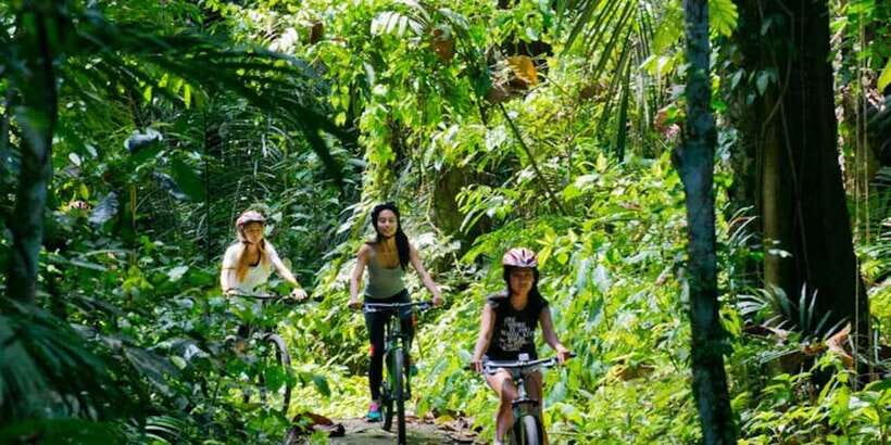 Bali: Mount Batur Mountain Biking Adventure with Lunch - Forest trails, rice fields, and village life