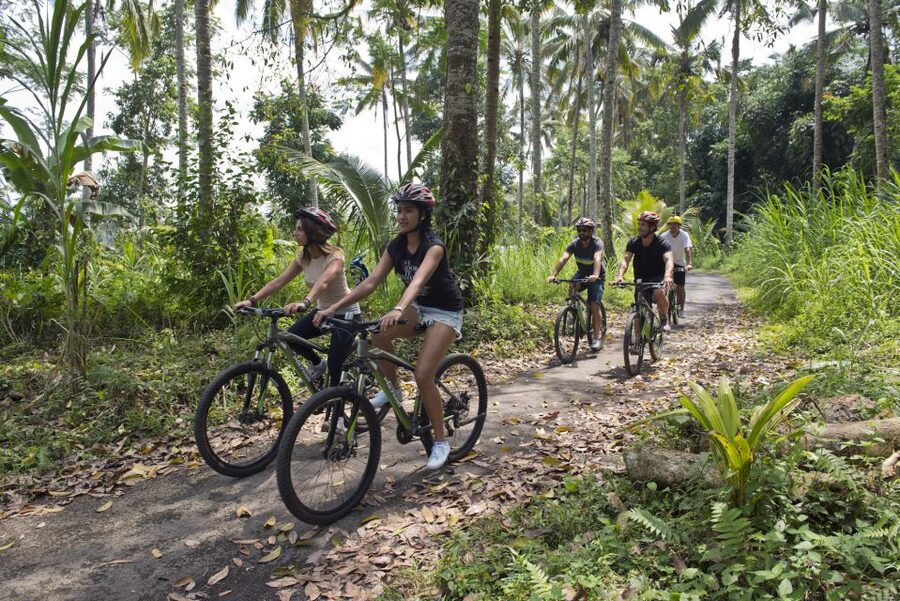 Bali: Mount Batur Mountain Biking Adventure with Lunch - What $54 really gets you
