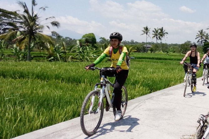 Bali Mountains and Villages Cycling Tour - Key points to know before you book