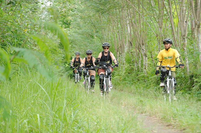 Bali Mountains and Villages Cycling Tour - Starting high in Bayung Gede Kintamani