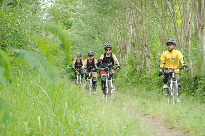 Bali Mountains and Villages Cycling Tour - Bayung Gede, Taro, and Keliki