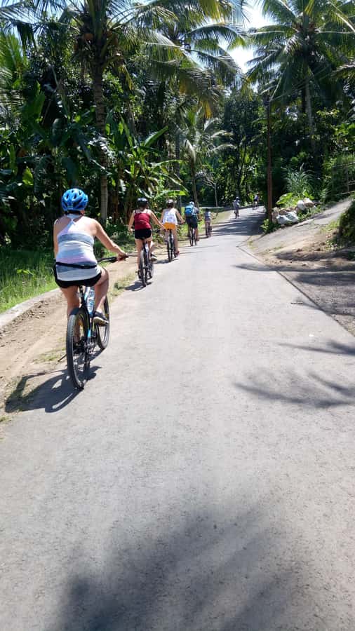 Bali Natural Downhill Cycling Tour and visit Batur Volcano - Mount Batur gives the morning its big view