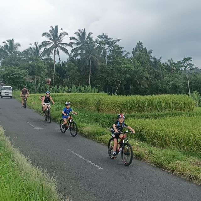 Bali Natural Downhill Cycling Tour and visit Batur Volcano - Temples, homes, and rice fields add meaning to the ride