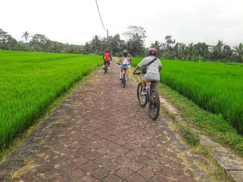 Bali: Ubud Country Side Cycling Tour with Lunch - Riding out from Ubud into Petang