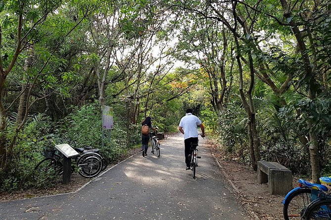 Bangkok's Green Lung Jungle Cycling Adventure Tour - Why Bangkok’s Green Lung feels so different