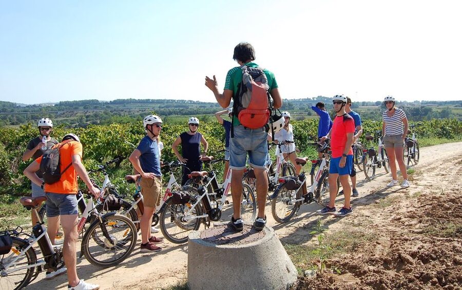 Barcelona: Bike & Wine Guided Tour - Penedès vineyards - Useful Planning Details Before You Go