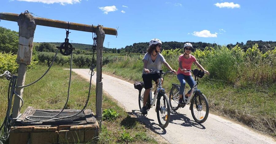 Barcelona: Bike & Wine Guided Tour - Penedès vineyards - What the Local Guide Adds