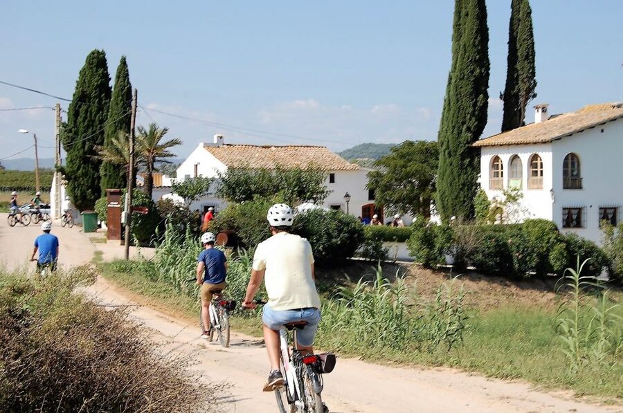 Barcelona: Bike & Wine Guided Tour - Penedès vineyards - Inside the Traditional Organic Winery