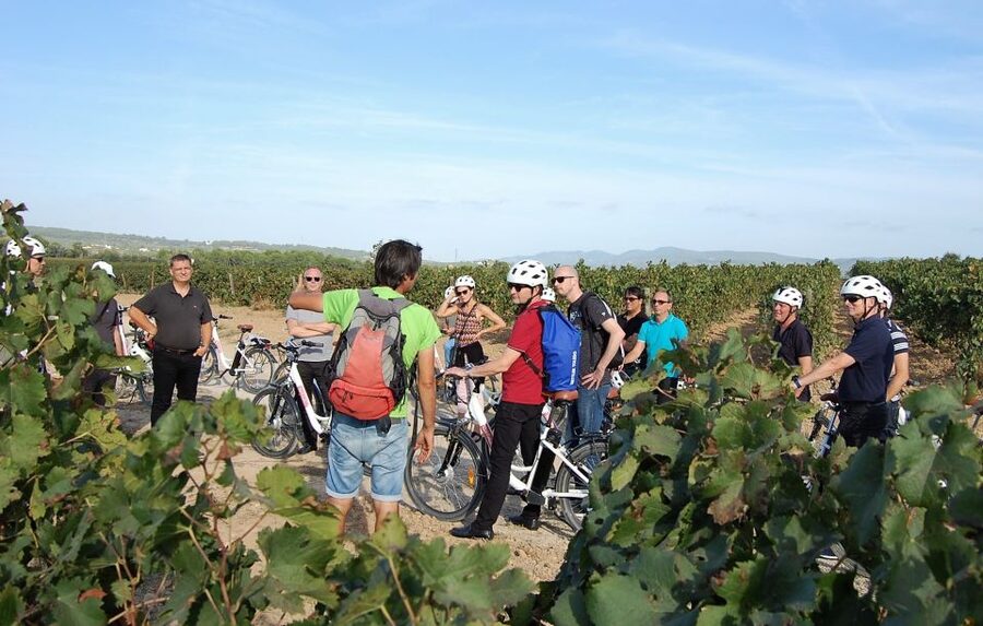 Barcelona: Bike & Wine Guided Tour - Penedès vineyards - How Much Cycling Should You Expect?