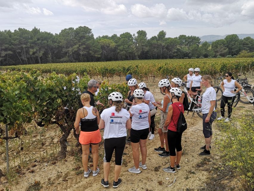 Barcelona: Bike & Wine Guided Tour - Penedès vineyards - The Value of the $96 Price