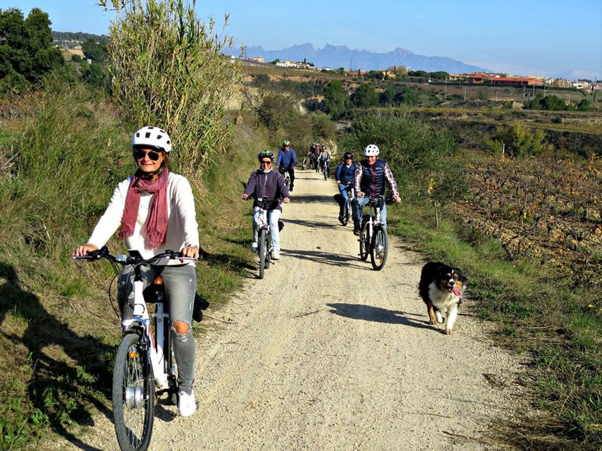 Barcelona: Bike & Wine Guided Tour - Penedès vineyards - Who Will Enjoy This Experience Most?