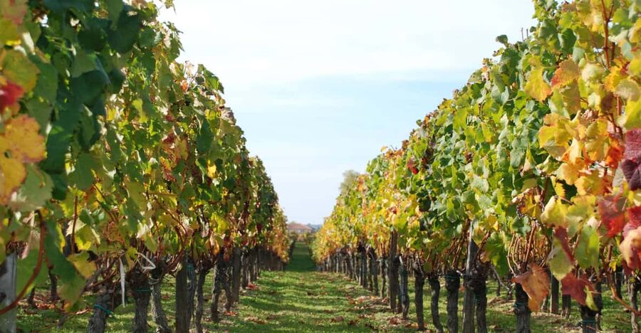 Barcelona: Coastline E-Bike and Wine Tasting Tour - Who will enjoy this tour most