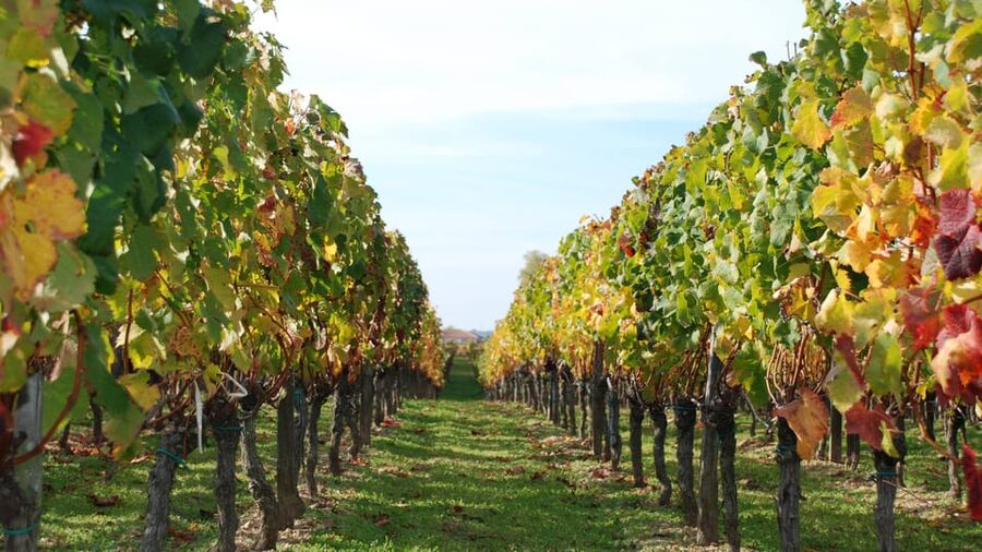 Barcelona: Coastline E-Bike and Wine Tasting Tour - FAQ