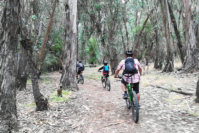 Beginner or Intermediate Mountain Bike Tour of Santa Barbara - What the stops add to the experience