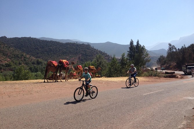 Beginners On-Road Bike Tour of the Atlas Mountains from Marrakech - Key points to know before you book