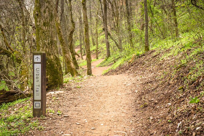 Bentonville Singletrack Mountain Bike Tour - Why Slaughter Pen works for a half-day ride