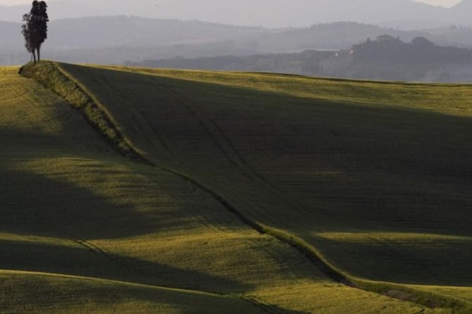 Bike Ride immersion val d'Orcia - Stops that make the day feel personal