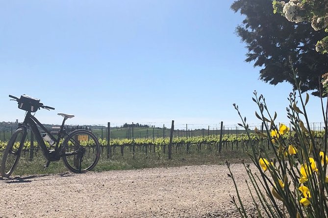 Bike Ride immersion val d'Orcia - Who will enjoy this ride most