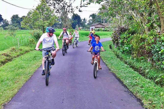 Bike ride in the rice fields, Bali countryside - A school visit that depends on the calendar