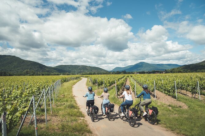 Bike ride on the Wine Route from Sélestat - Why this Sélestat bike ride works so well