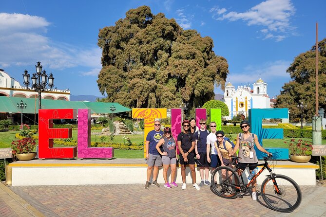 Bike Ride to the Largest Tree in the World - Following the shaded bike lane out of Oaxaca