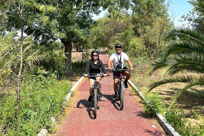 Bike Ride to the Largest Tree in the World - Using your free time around the town square