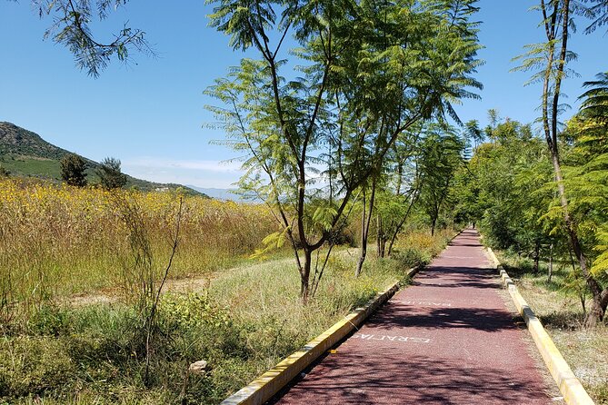 Bike Ride to the Largest Tree in the World - The ride back to Oaxaca