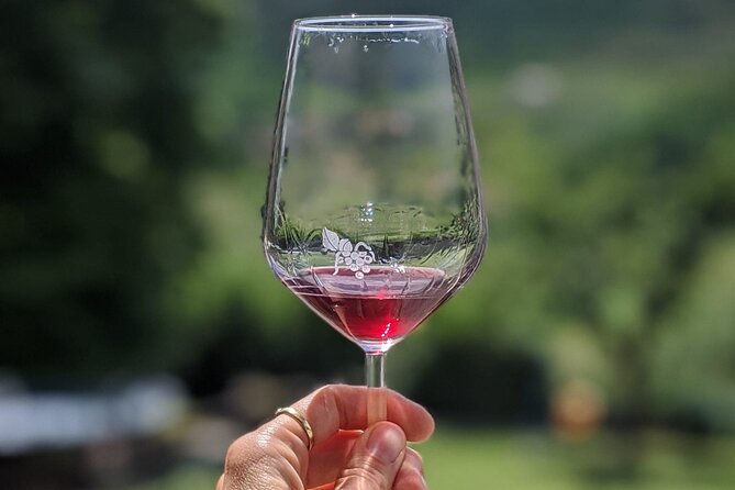 Bike Ride & WIne Tasting - Leaving Lucca by bicycle