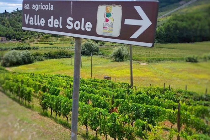 Bike Ride & WIne Tasting - Practical details that affect your day