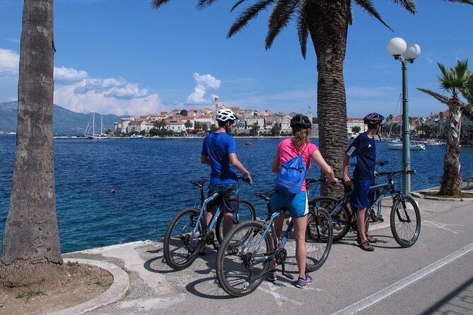Bike & Wine Korčula Adventure - Half Day Guided Bike Tour - Who Will Enjoy This Korčula Bike Tour?