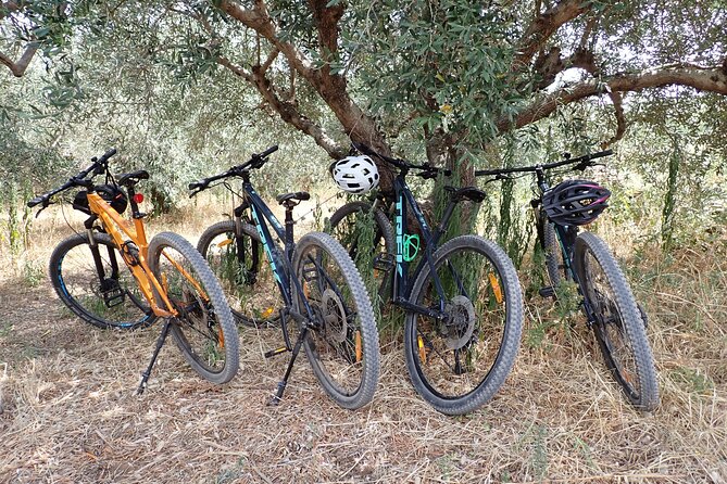 Bike & Wine Korčula Adventure - Half Day Guided Bike Tour - What to Bring for a Smooth Morning