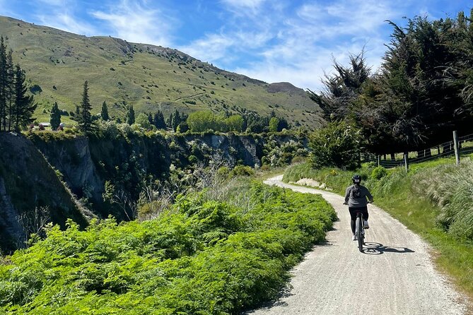 Bike & Wine Tour: Arrowtown to Valley of the Vines - Standard bike or e-bike?