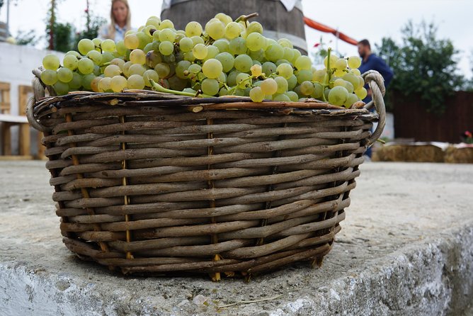 Bike & Wine tour in Dealu Mare wineland - The boutique cellar and the tasting table