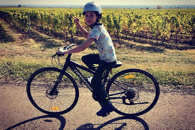 Bike & Wine tour in Dealu Mare wineland - Timing, group size, and the pace of the day