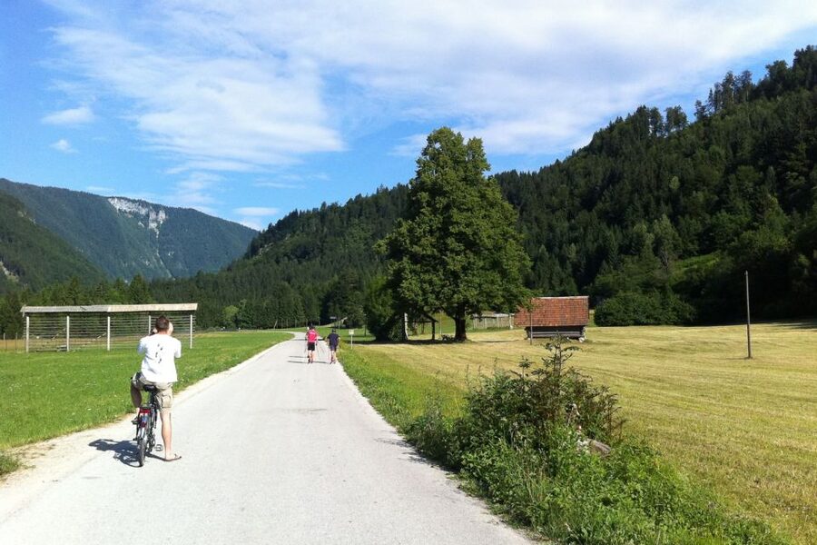 Bled: Mountain Bike Rental - What the KTM rental includes