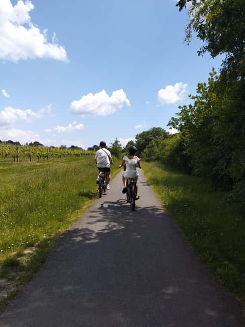 Bordeaux by Gravel Bike : Historic center & vineyards - Returning by railway path, trees, and river views