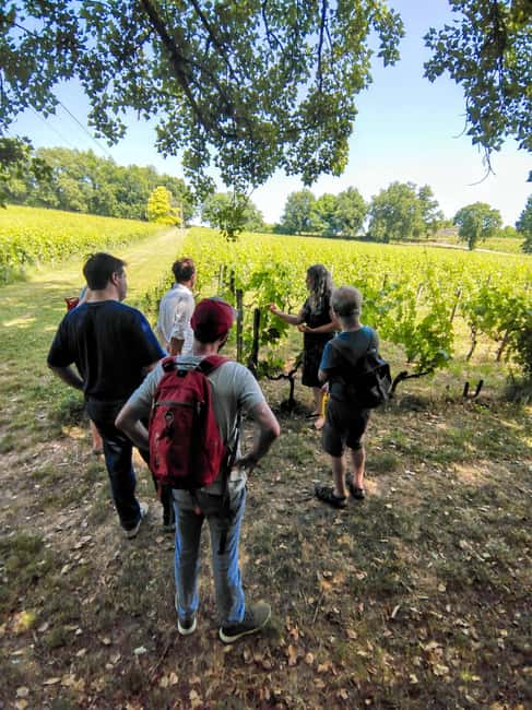 Bordeaux by Gravel Bike : Historic center & vineyards - From Chartrons to Bordeaux Cathedral and Pont de Pierre