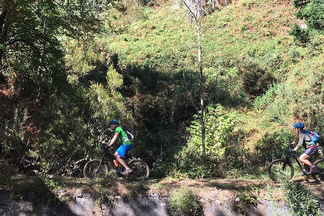 Botanical Trails of Madeira. Mountain biking Trail Experience - Following the levada through three kinds of forest