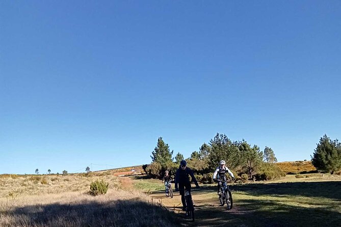 Botanical Trails of Madeira. Mountain biking Trail Experience - What the mixed terrain feels like on a beginner route