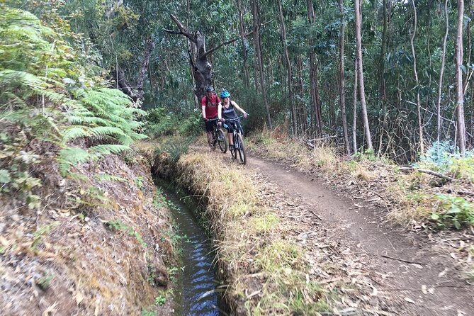Botanical Trails of Madeira. Mountain biking Trail Experience - Who will get the most from this Madeira bike tour