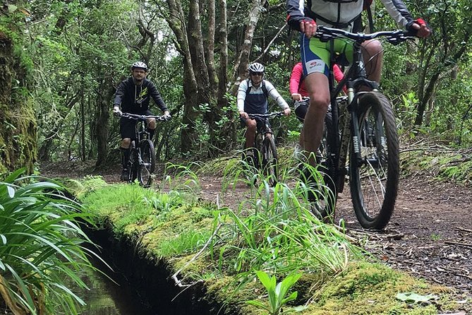 Botanical Trails of Madeira. Mountain biking Trail Experience - Camacha brings a village stop and a change of pace